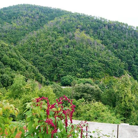 Chez Il Pino Vernazza Vista Mare Екстер'єр фото