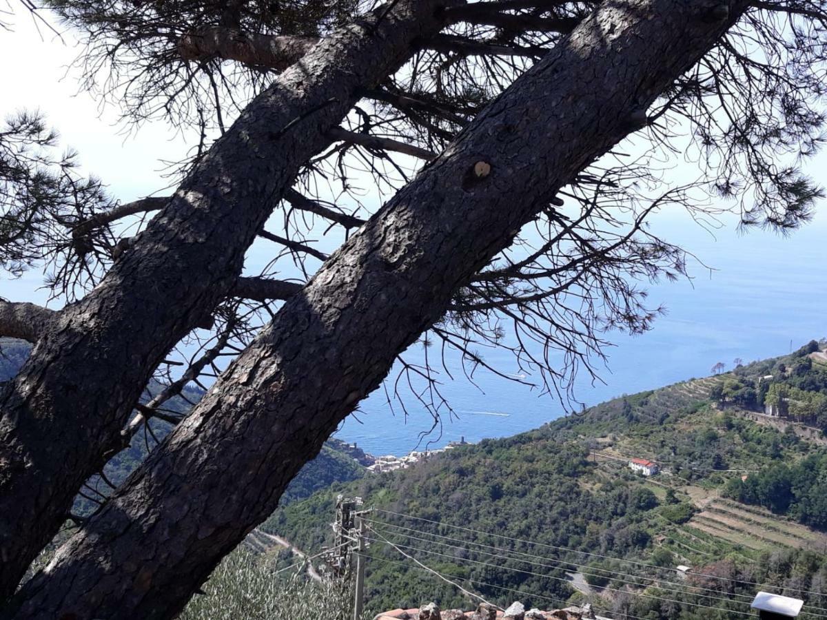 Chez Il Pino Vernazza Vista Mare Екстер'єр фото